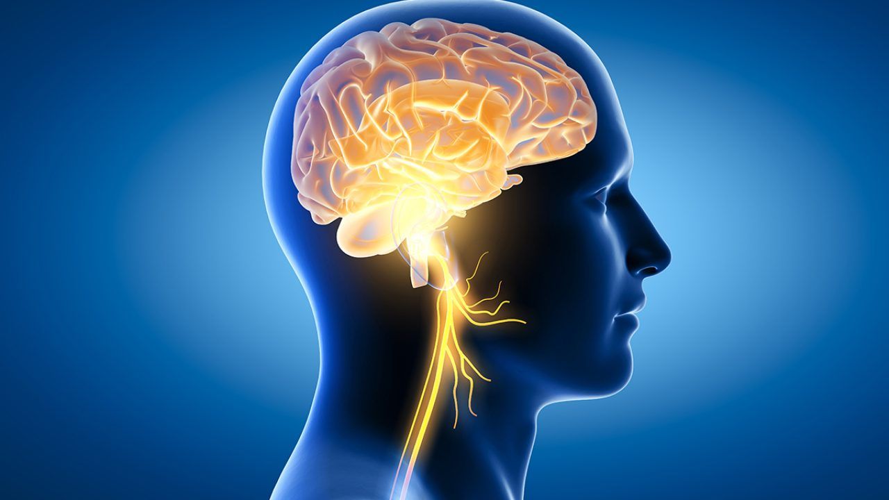 The Ultimate Guide to Nootropics for Cognitive Performance